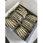 冷凍小鮎1k-1005尾入り×20袋入り