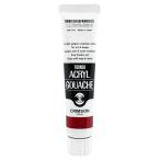  turner цвет акрил гуашь k обод sonAG020121 20ml(6 номер )