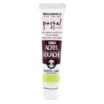  turner цвет акрил гуашь пастель lime AG020175 20ml(6 номер )