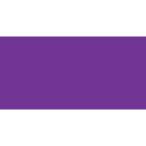  turner цвет акрил гуашь смешивание violet AG020165 20ml(6 номер )