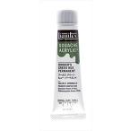 liki Tec s гуашь *ak Lyric плюс 20ml камера 224f- rental зеленый hyu- перманентный 