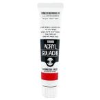  turner цвет (Turner Color) акрил гуашь коричневый i потребности красный AG020028 20ml(6 номер )