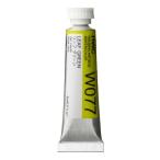  ho ru Bay n прозрачный акварель краситель W077 5ml leaf зеленый 03077