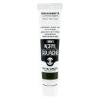  turner цвет акрил гуашь оливковый зеленый AG020046 20ml(6 номер )