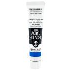  turner цвет акрил гуашь springs голубой AG020155 20ml(6 номер )