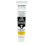  turner цвет акрил гуашь ne- тянуть s желтый AG020031 20ml(6 номер )