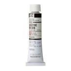  ho ru Bay n масляная краска H152 20ml Bandai ki Brown 00152