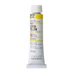  ho ru Bay n масляная краска H037 20ml лимон желтый 00037