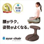 座椅子 1人掛け 腰痛 おしゃれ 姿勢 集中力 学習 コンパクト 骨盤 坐骨 腰痛クッション アーユルチェアー メディカルシート(座イス&座面シートタイプ)