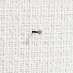 こびょう（細いくぎ）16mm フック 絵画 壁掛け金具 インテリア 石膏ボード用