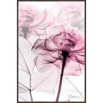 レントゲンアート X RAY キャンバスアート「ピンクローズ（Sサイズ）」 インテリア 額入り ポスター モノトーン アートパネル リビング 玄関 プレゼント バラ
