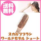 スカルプブラシ ワールドモデル ショート　【即納】