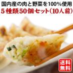 送料無料 (５種類５０個入) １０人前 詰め合わせ 冷凍餃子  生餃子 餃子 ぎょうざ ギョーザ ギョウザ 冷凍生餃子 お取り寄せ セット 冷凍食品 グルメ