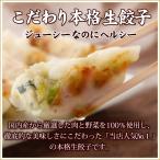 (こだわり本格生餃子10個入り) 2人前 冷凍餃子 生餃子 餃子 ぎょうざ ギョーザ ギョウザ 冷凍生餃子 お取り寄せ セット 冷凍食品 グルメ