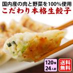 ショッピング餃子 送料無料  (こだわり本格生餃子１２０個入り) ２４人前 冷凍餃子  生餃子 餃子 ぎょうざ ギョーザ ギョウザ 冷凍生餃子 お取り寄せ セット 冷凍食品 グルメ