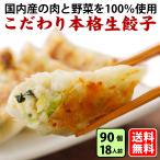 ショッピングギョウザ 送料無料 (こだわり本格生餃子９０個入り) 1８人前 冷凍餃子  生餃子 餃子 ぎょうざ ギョーザ ギョウザ 冷凍生餃子 お取り寄せ セット 冷凍食品 グルメ