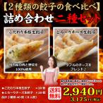 ショッピングギョーザ 送料無料  (２種類４０個入り) ８人前 詰め合わせ 冷凍餃子  生餃子 餃子 ぎょうざ ギョーザ ギョウザ 冷凍生餃子 お取り寄せ セット 冷凍食品 グルメ