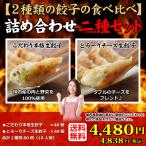 ショッピングギョーザ 送料無料  (２種類８０個入り) １６人前 詰め合わせ 冷凍餃子  生餃子 餃子 ぎょうざ ギョーザ ギョウザ 冷凍生餃子 お取り寄せ セット 冷凍食品 グルメ