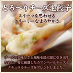 (とろーりチーズ生餃子10個入り) 2人前 冷凍餃子 生餃子 餃子 ぎょうざ ギョーザ ギョウザ 冷凍生餃子 お取り寄せ セット 冷凍食品 グルメ