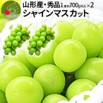 ショッピングシャインマスカット ぶどう 秀品 シャインマスカット 2房 (1房約700g前後) 山形県産 ブドウ ギフト 贈答 プレゼント 化粧箱 贈り物 大粒 産地直送 (遠方送料加算)