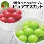  виноград чистый мускат 2 вид еда . сравнение комплект 4 cup ввод Yamagata префектура производство автомобиль in мускат самец . алый и т.п. бесплатная доставка фрукты 