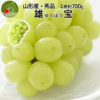 山形県産 ぶどう 雄宝 1房 (約700g) 秀品 大粒 果物 化粧箱入 産地直送 山形県産 お年賀 ギフト 同梱不可 熨斗OK 送料無料 誕生日 果物