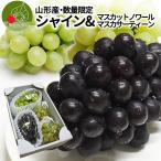  автомобиль in мускат × мускат nowa-ru×ma ska sa- чай n итого примерно 1.7kg Yamagata префектура производство виноград набор превосходящий товар крупный фрукты несессер входить прямая поставка от производителя подарок бесплатная доставка 