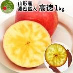 りんご 高徳 (こうとく) 1kg 5〜7玉前後 蜜入り 山形県産 自家用 リンゴ 贈答 ギフト 贈り物 プレゼント 産地直送 送料無料 林檎 果物