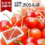 さくらんぼ 佐藤錦 or 紅秀峰 1kg 自