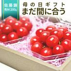 母の日 さくらんぼ 佐藤錦 ダイヤモンドパック Mサイズ 200g(100g×2) 山形 秀品 手詰め ギフト 贈り物 山形県産 サクランボ 果物