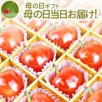 母の日 遅れてごめん