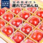  День отца подарок задержка ..... вишня Sato .L шар 24 шарик входить Yamagata Special превосходящий несессер входить 2025 Yamagata префектура производство sa Clan bo прямая поставка от производителя рука .. бесплатная доставка сообщение карта есть 