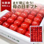 ショッピングさくらんぼ 母の日 まだ間に合う ギフト さくらんぼ 佐藤錦 ２Ｌ玉 300ｇ 鏡詰め 山形 特秀 2024 山形県産 サクランボ 手詰め 送料無料 化粧箱入 プレゼント 贈答