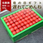 母の日 ギフト 遅れてごめんね さくらんぼ 佐藤錦 L玉 500g 鏡詰め 山形 特秀 2025 山形県産 サクランボ ギフト プレゼント 送料無料 贈り物 果物