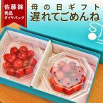 ＼遅れてごめんね 母の日 ギフト／さくらんぼ 佐藤錦 M玉 200ｇ (100g×2)ダイヤパック 山形 秀品 2024 山形県産 サクランボ 化粧箱入 送料無料