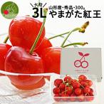  Yamagata префектура производство вишня .. превосходящий товар 3L 300g роза ..(25~30 шарик ) подарок в коробке крупный 2L и больше несессер входить прямая поставка от производителя бесплатная доставка фрукты подарок на Bon Festival . средний изначальный 