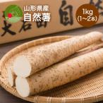  Японский ямс Yamagata префектура производство 1kg(1~ 2 шт )... ..........