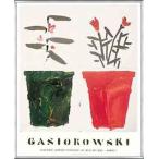 FLEURS N°117/118( Gerard gasio low ski) рамка товар алюминиевый Basic рама 