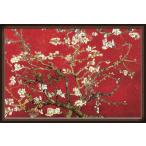 Almond Branches in T