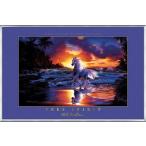 Free Spirit (foil)�i�N���X�`���� ���b�Z���j �z���i �A���~���x�[�V�b�N�t���[��
