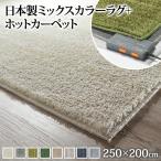 ホットカーペット カバー ミックスカラーホットカーペットカバー-ルーナ 3畳 250x200cm ホットカーペット本体セット 洗える