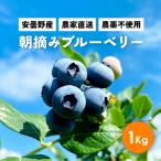  pesticide un- use blueberry 1 kilo [ super. blueberry - .. not!] morning .... goods home use Nagano prefecture production cheap cloudiness . production [ blueberry approximately 1 kilo 7 month 8 day from 7 month 23 day ]