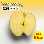  пчела меласса. подобный ..... очарование! Nagano префектура производство дешево замутненный . Shinshu производство иллюзия иллюзия. яблоко [.. роман 10 kilo коробка товар с некоторыми замечаниями ]