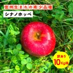 si nano ho pe10kg коробка есть перевод иллюзия. .. яблоко Nagano дешево замутненный . Shinshu прямая поставка от производителя [si nano ho pe10 kilo коробка товар с некоторыми замечаниями ]