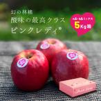 ピンクレディりんご 林檎 5kg 箱 長野県 A品B品 幻の林檎 減農薬 安曇野 贈答 ギフト「ピンクレディ5キロ箱A品B品ミックス」