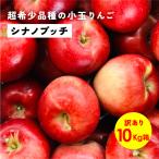 [si nano pchi10 kilo коробка товар с некоторыми замечаниями ] маленький шар яблоко Nagano префектура дешево замутненный . Shinshu прямая поставка от производителя фрукты фрукты редкий есть перевод 10kg