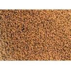 [ местного производства дешево замутненный . производство 100%] природа культивирование ( пестициды не использование химия удобрение не использование ) хлеб для твердость пшеничная мука . пшеница 20g злаки .. меры улучшение почвы шарик . кулинария 