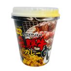 飛騨牛カレーめし 1個 レトルト イ