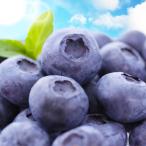 2025 отчетный год предварительный заказ конец Shinshu производство сырой голубика 1kg(250g×4 упаковка )7 месяц первая декада ~ отправка 