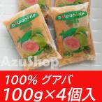 グアバ 100% 冷凍ピューレ 400g(100g×4P) POLPA NORTE ポルパノルテ 賞味期限2027年2月28日